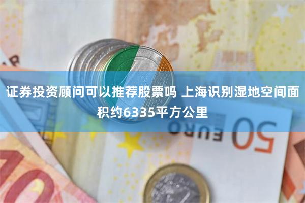 证券投资顾问可以推荐股票吗 上海识别湿地空间面积约6335平方公里