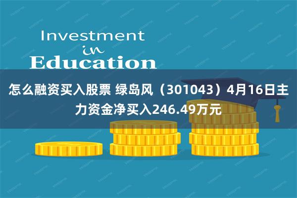 怎么融资买入股票 绿岛风（301043）4月16日主力资金净买入246.49万元
