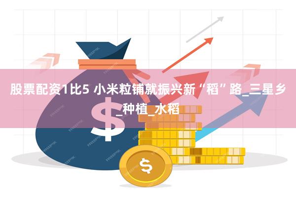 股票配资1比5 小米粒铺就振兴新“稻”路_三星乡_种植_水稻